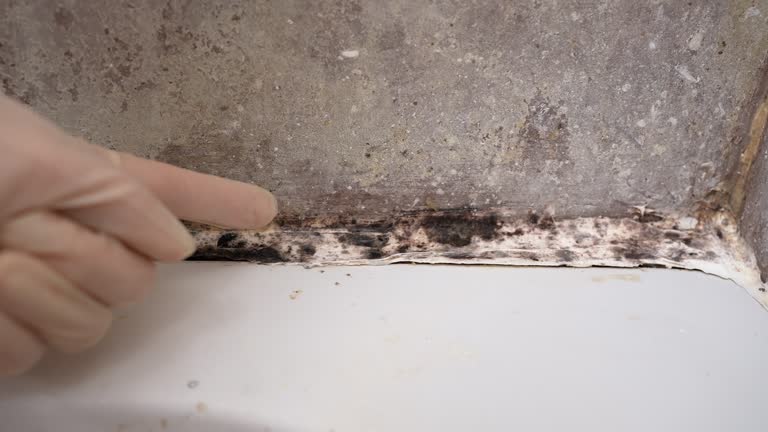 Best Post-Remediation Verification Testing  in Short Hills, NJ